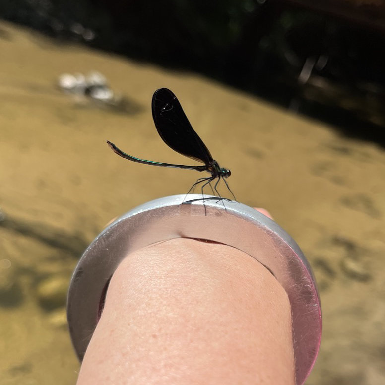 alum-braclet-thumb