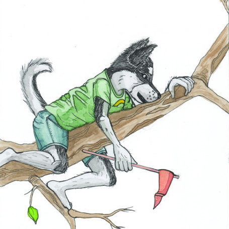 husky-capture-flag-thumb